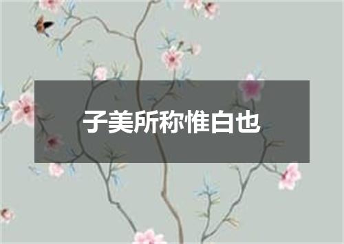 子美所称惟白也