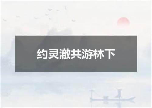 约灵澈共游林下