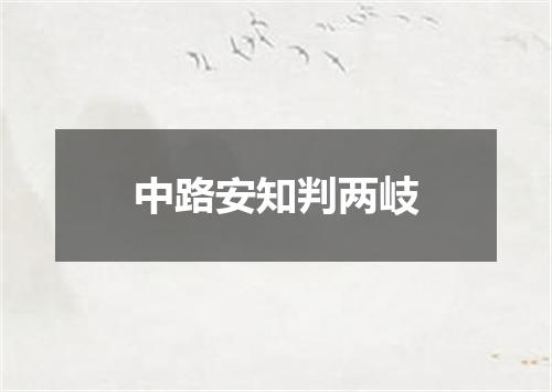 中路安知判两岐