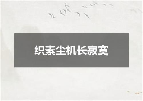 织素尘机长寂寞