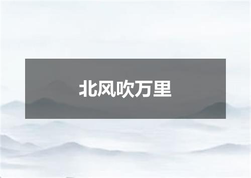 北风吹万里