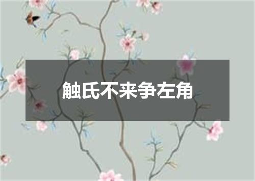 触氏不来争左角