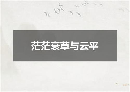 茫茫衰草与云平