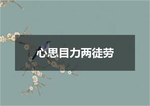 心思目力两徒劳