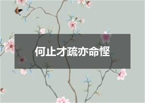 何止才疏亦命悭