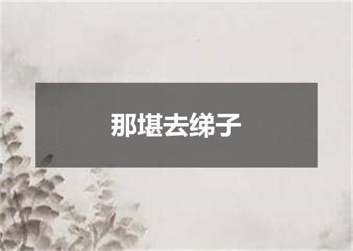 那堪去绨子