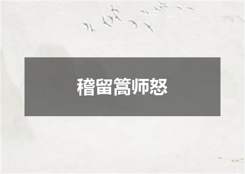 稽留篙师怒