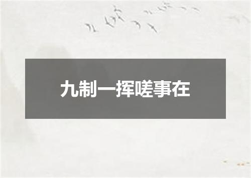 九制一挥嗟事在