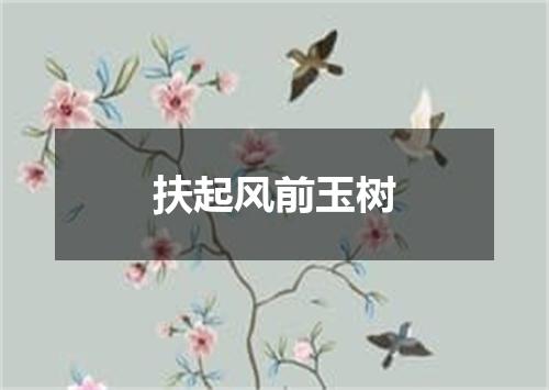 扶起风前玉树