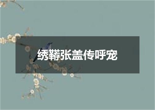 绣鞯张盖传呼宠