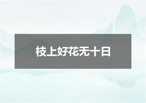 枝上好花无十日