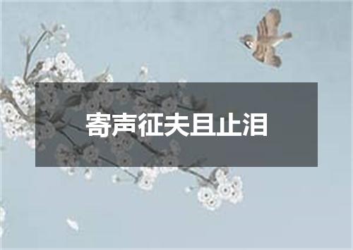 寄声征夫且止泪