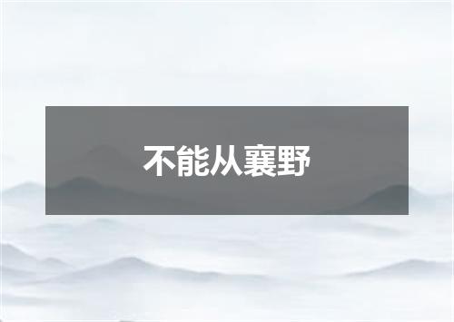不能从襄野
