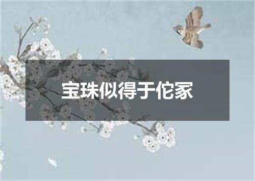 宝珠似得于佗冢