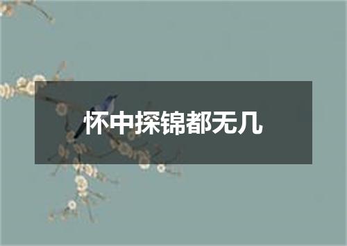怀中探锦都无几