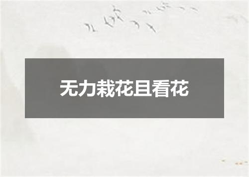 无力栽花且看花