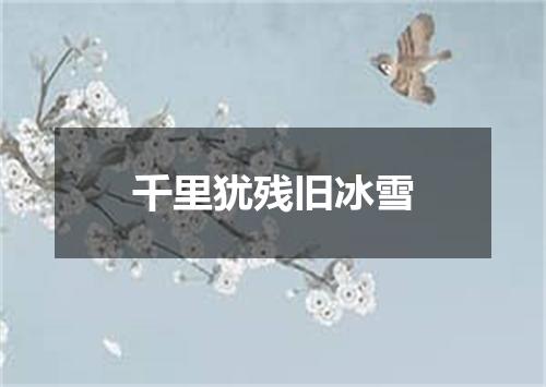 千里犹残旧冰雪