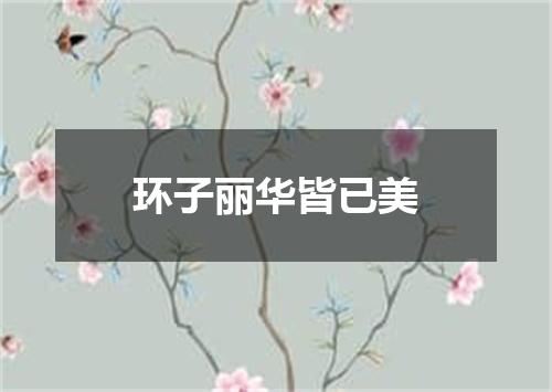 环子丽华皆已美