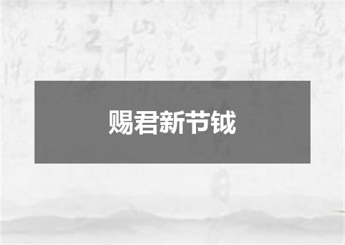 赐君新节钺