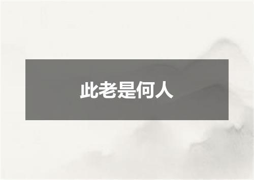 此老是何人