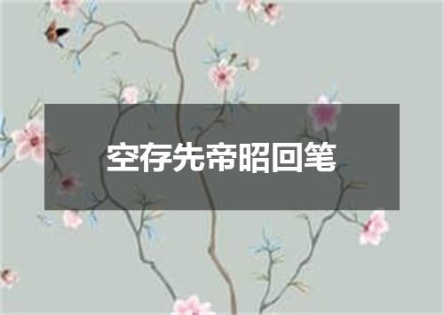 空存先帝昭回笔