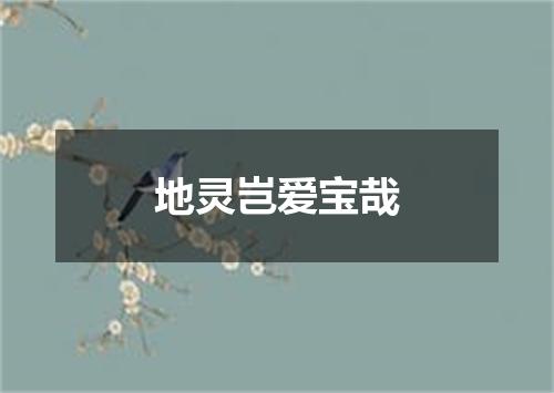 地灵岂爱宝哉