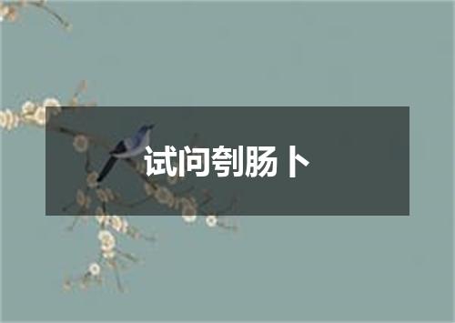 试问刳肠卜