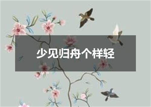 少见归舟个样轻