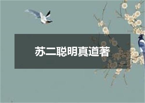 苏二聪明真道著