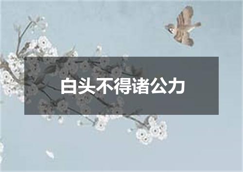 白头不得诸公力
