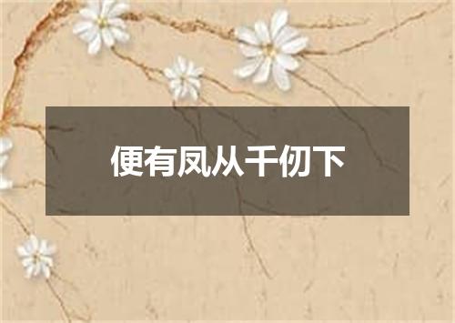 便有凤从千仞下