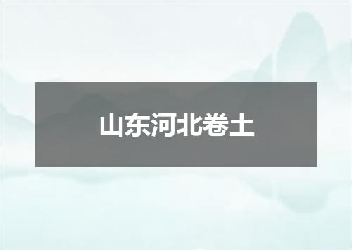 山东河北卷土