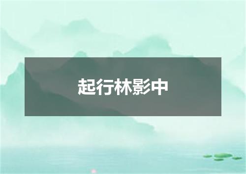 起行林影中