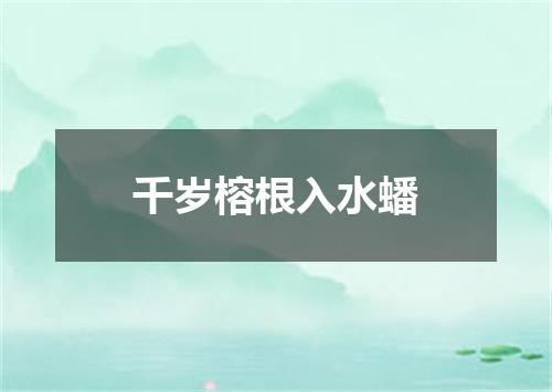 千岁榕根入水蟠