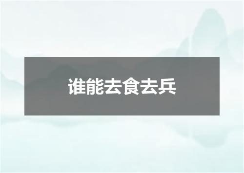 谁能去食去兵
