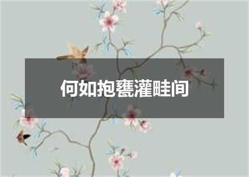 何如抱甕灌畦间