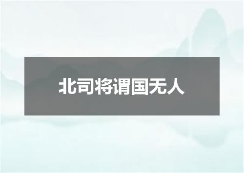 北司将谓国无人