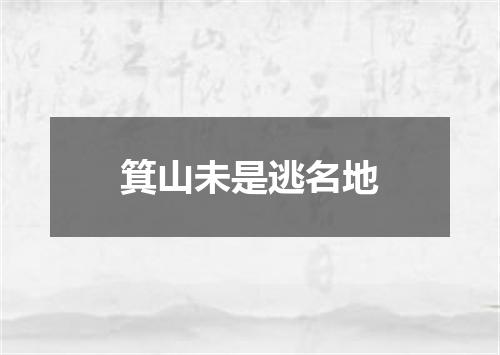 箕山未是逃名地