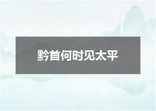黔首何时见太平