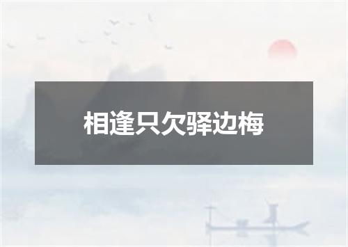 相逢只欠驿边梅