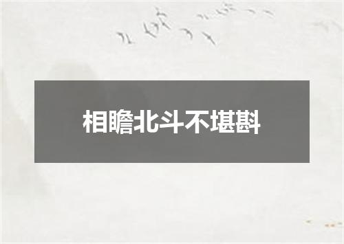 相瞻北斗不堪斟