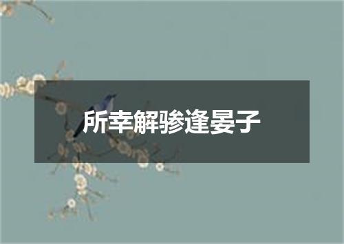 所幸解骖逢晏子
