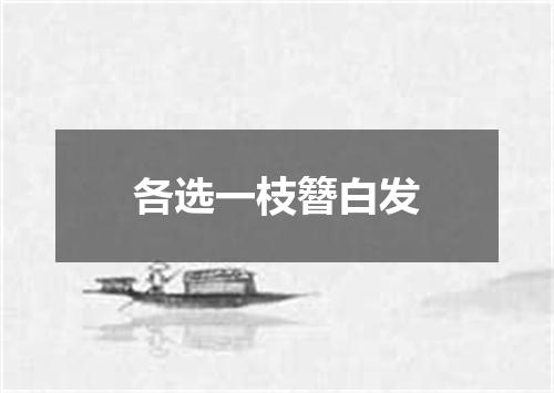 各选一枝簪白发