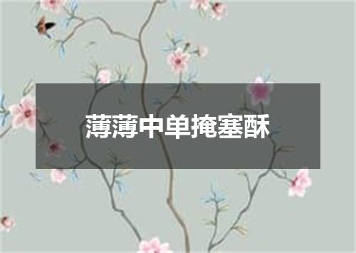 薄薄中单掩塞酥