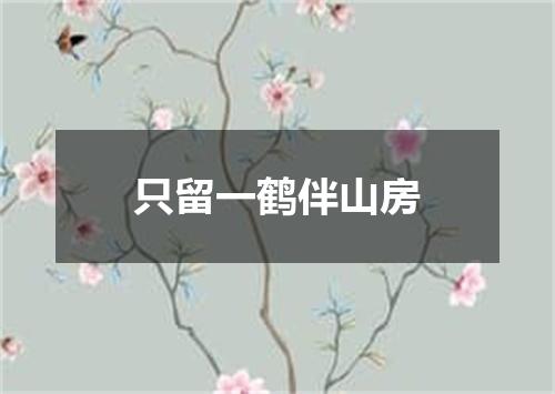 只留一鹤伴山房