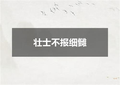 壮士不报细雠