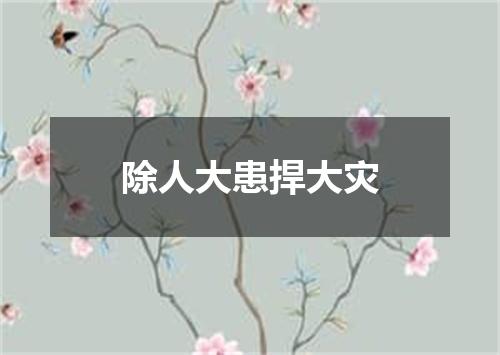 除人大患捍大灾