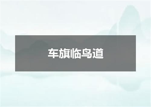 车旗临鸟道