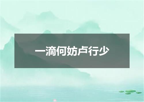 一滴何妨卢行少