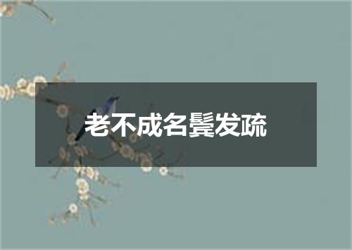 老不成名鬓发疏